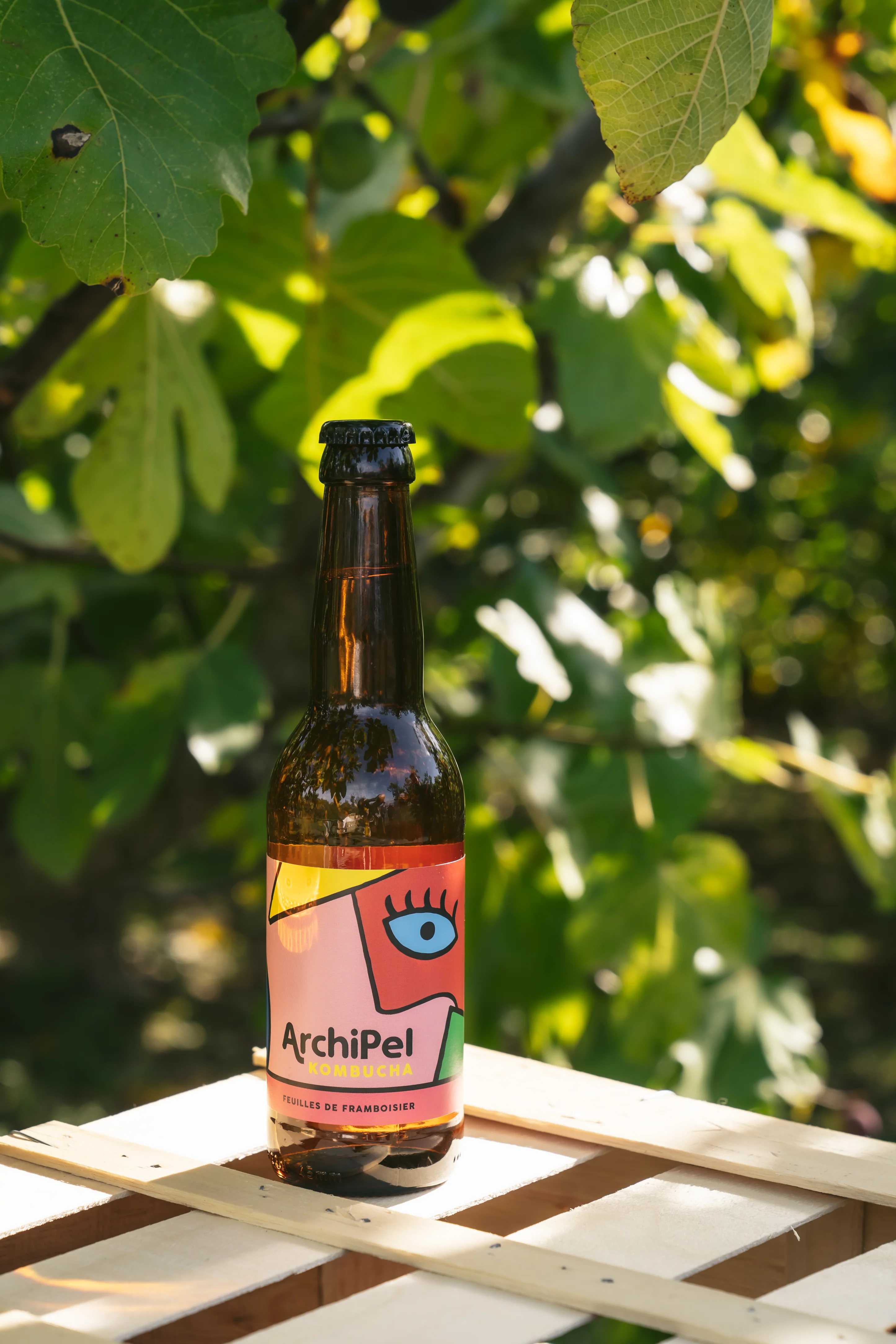 Archipel Kombucha